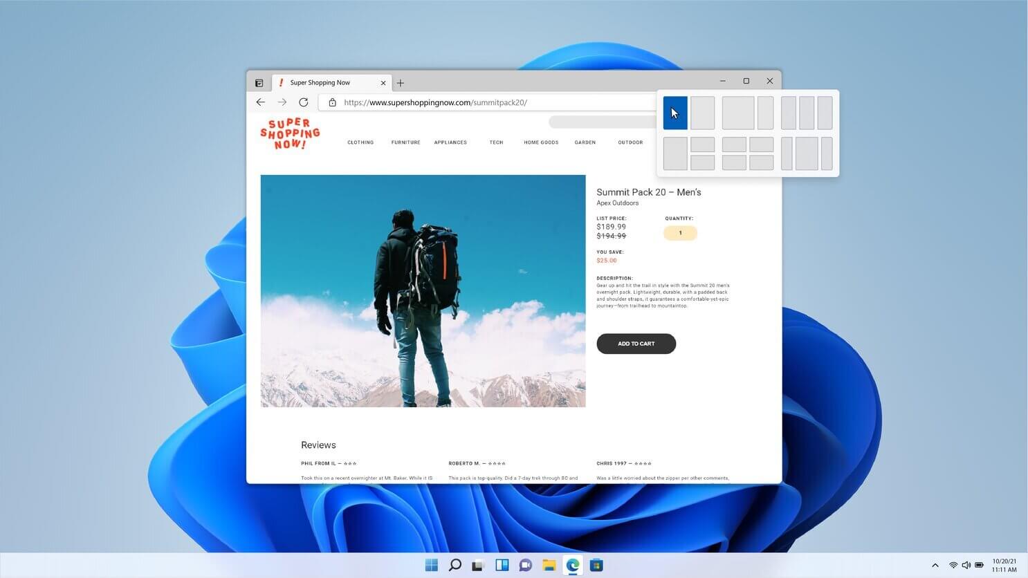 Windows 11 Professional